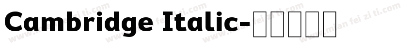 Cambridge Italic字体转换